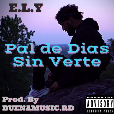 Pal de Dias Sin Verte ft. BUENAMUSIC.RD | Boomplay Music