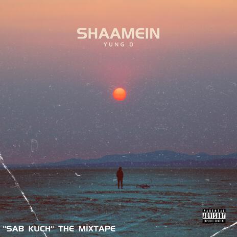 Shaamein | Boomplay Music