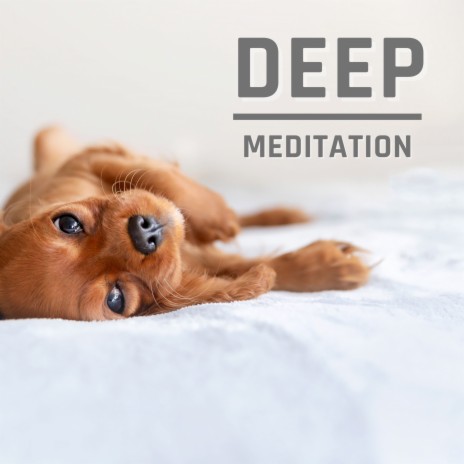 Silent Inspiration ft. Relaxing Spa Music Zone | Boomplay Music
