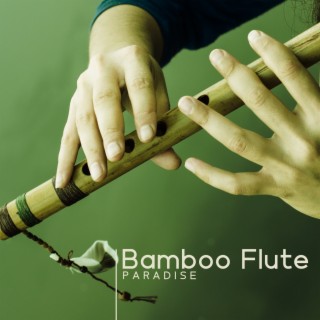 Bamboo Flute Paradise: Soft Flute Sounds for Positive Energy Vibration, Cleanse All Negativity, Healing Music for Meditation