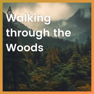 Walking through the Woods