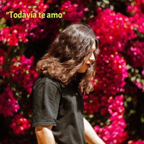 Todavía Te Amo | Boomplay Music