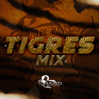 Tigres Mix lyrics | Boomplay Music