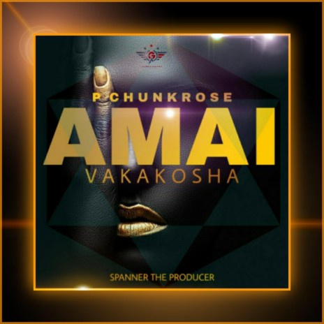 Amai Vakakosha | Boomplay Music