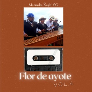 Flor De Ayote, Vol. 4