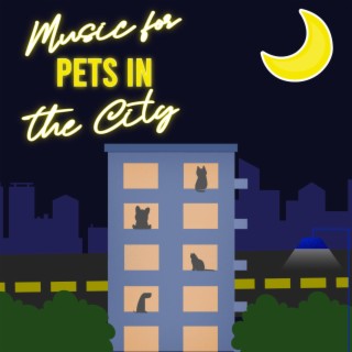 Music for Pets in the City