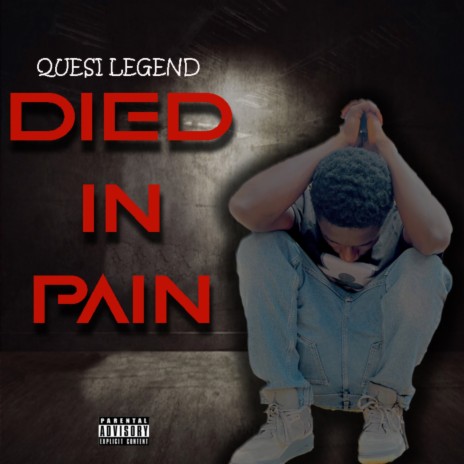 Died in Pain | Boomplay Music