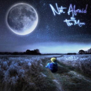 Not Afraid of The Moon lyrics | Boomplay Music