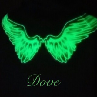 Dove