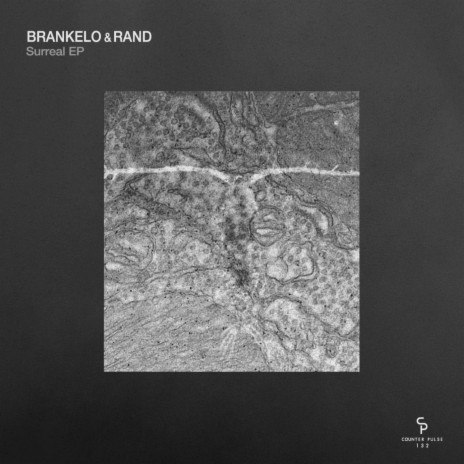 Code ft. Rand | Boomplay Music