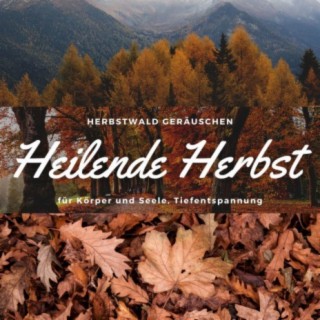 Bherbst Helge