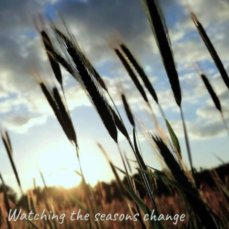 Watching the seasons change | Boomplay Music