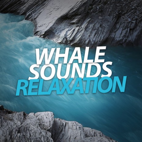 Underwater Whale Sounds Ambient Soundscape (Original Mix) | Boomplay Music