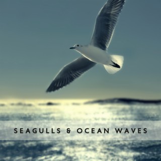 Seagulls & Ocean Waves – Ambient Nature Sounds for Relaxation, Meditation and Deep Sleep
