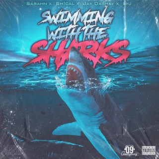 Swimming With The Sharks
