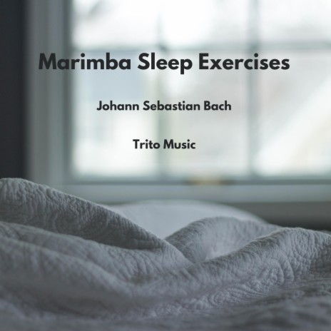 Die Kunst der Fuge, Contrapunctus IV Sleep Exercise | Boomplay Music