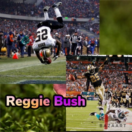 Reggie Bush ft. Bricko Sicko | Boomplay Music