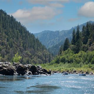 A River, Some Fish, and Some Flies