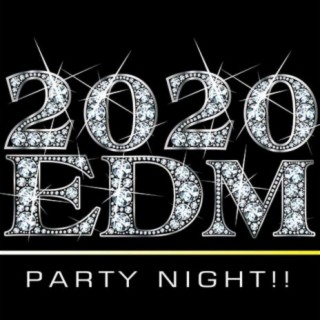 2020 EDM -PARTY NIGHT!!-