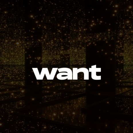 Want II (Melodic Drill Type Beat) | Boomplay Music