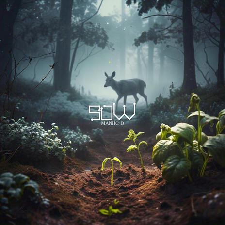 Sow | Boomplay Music