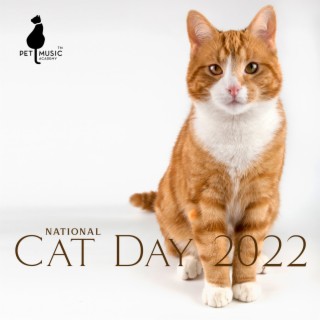 National Cat Day 2022