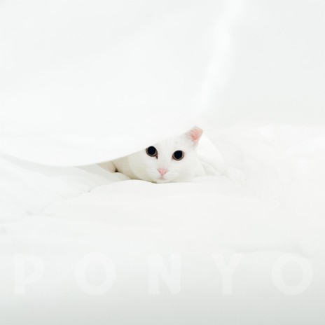 Ponyo ft. Nondo & Serhan Guney | Boomplay Music