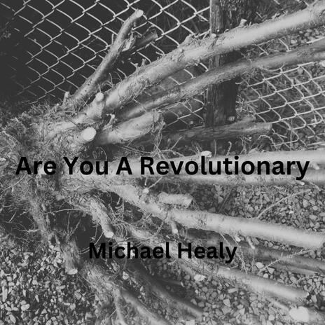 Are You A Revolutionary