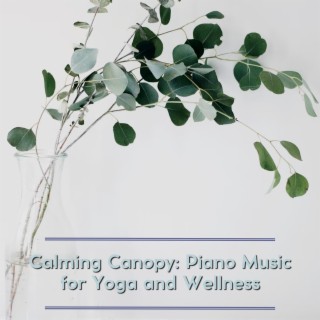 Calming Canopy: Piano Music for Yoga and Wellness