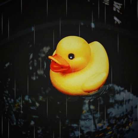 THE DUCK