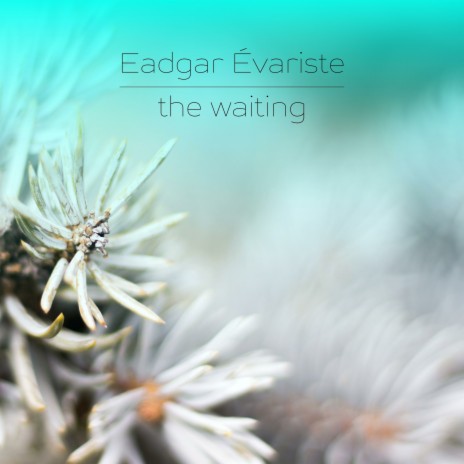 The Waiting | Boomplay Music