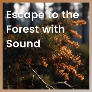 Escape to the Forest with Sound