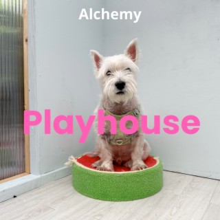 Playhouse