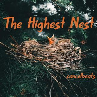 The Highest Nest