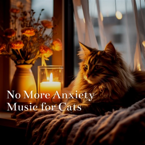 Cat Music for Fireworks and Loud Noises | Boomplay Music