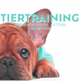 Tiertraining: Musik für Hunde, Katzen, Haustiere - Entspannung und Ruhe, Gelassenheit, Entspannungsmusik