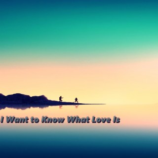 I Want to Know What Love Is