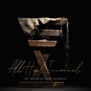 All Hail Immanuel (Radio Edit) lyrics | Boomplay Music