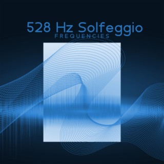528 Hz Solfeggio Frequencies: Manifest Abundance, Attract Wellfare, Raise Vibrations, Reduce Stress and Anxiety