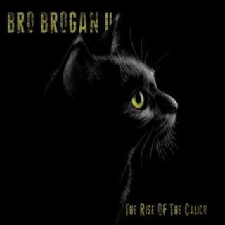 Bro Brogan 2: The Rise Of The Calico