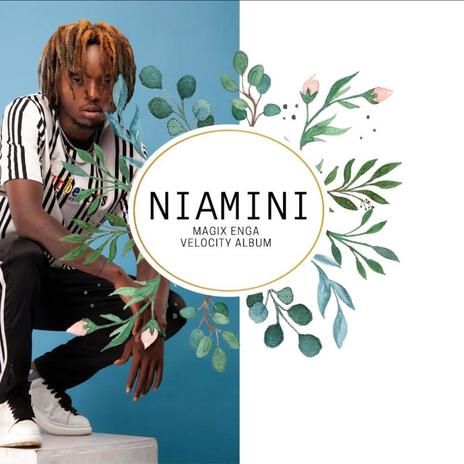 NIAMINI | Boomplay Music