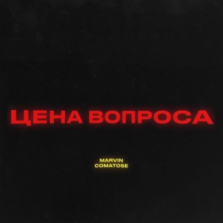 Цена вопроса (Prod. by BUGSTER x PLUG2DOPE)