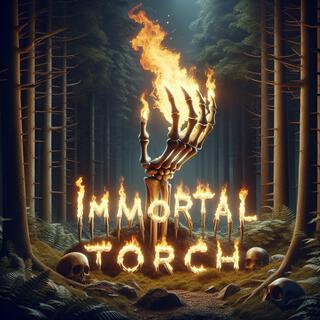 Torchlight lyrics | Boomplay Music