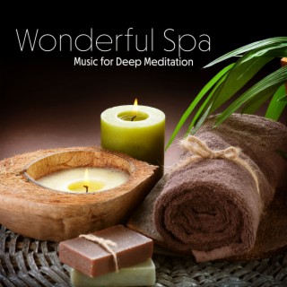 Wonderful Spa World