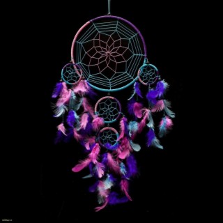 Dr. Dream Catcher