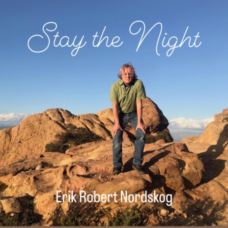 Stay the Night | Boomplay Music