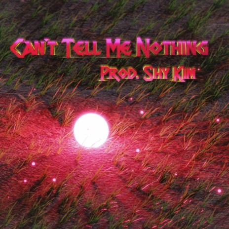 Can't Tell Me Nothing | Boomplay Music