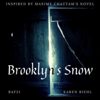 Brooklyn's Snow