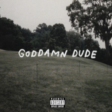 GODDAMN DUDE | Boomplay Music