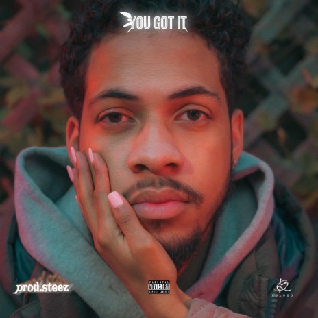 You Got It | Boomplay Music